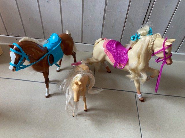 Bambole: Barbie Set – Usato da Obfelden venduto da beajan2009 5