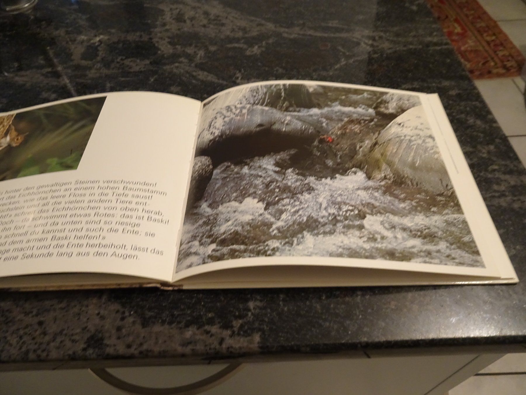 Bücher: BASKIK S grosse Flussfahrt Basel / Schweiz 1976 BAND 4 – Gebraucht aus Zürich von Roulet 6