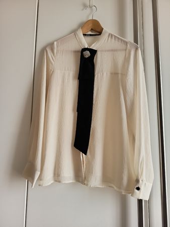 Semi Sheer Blouse 