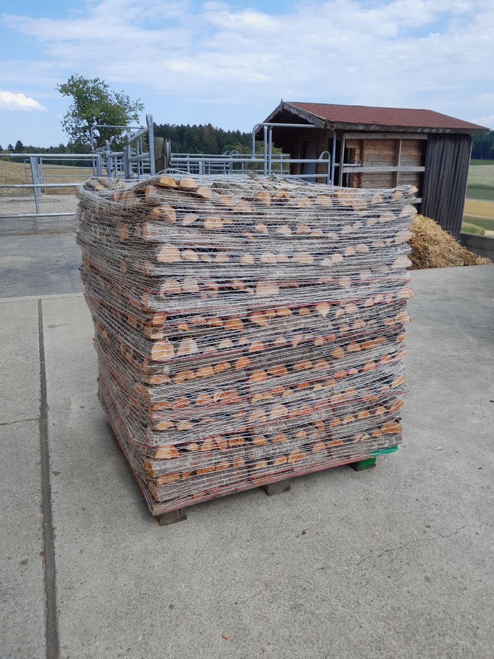 Articoli in legno: Brennholz Buchenäste – Nuovo (secondo la descrizione) da Schlierbach venduto da haflinger66 1