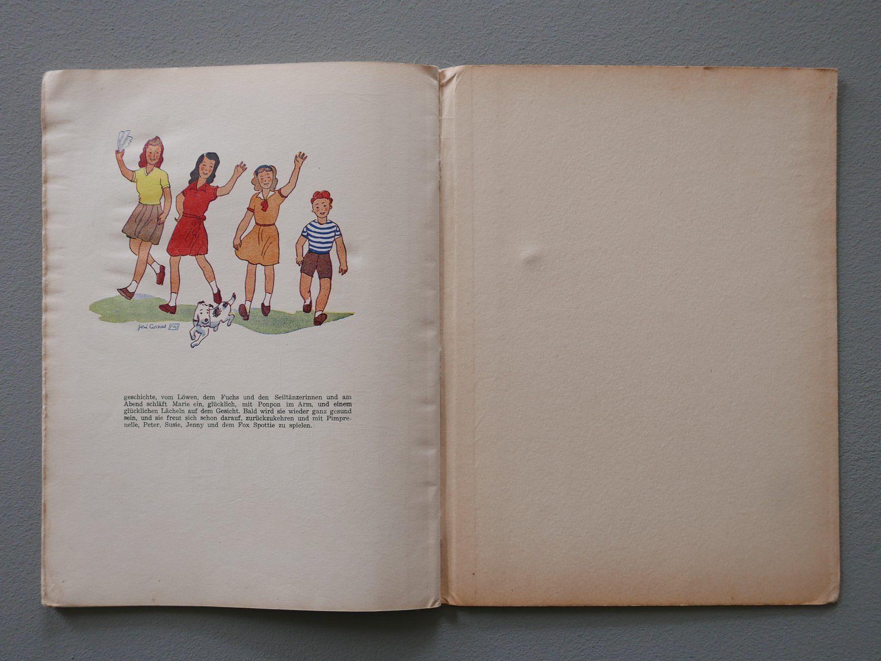 Bücher: ALTES KINDERBUCH PIMPRENELLE – Gebraucht aus Balgach von Zwischenraum 8