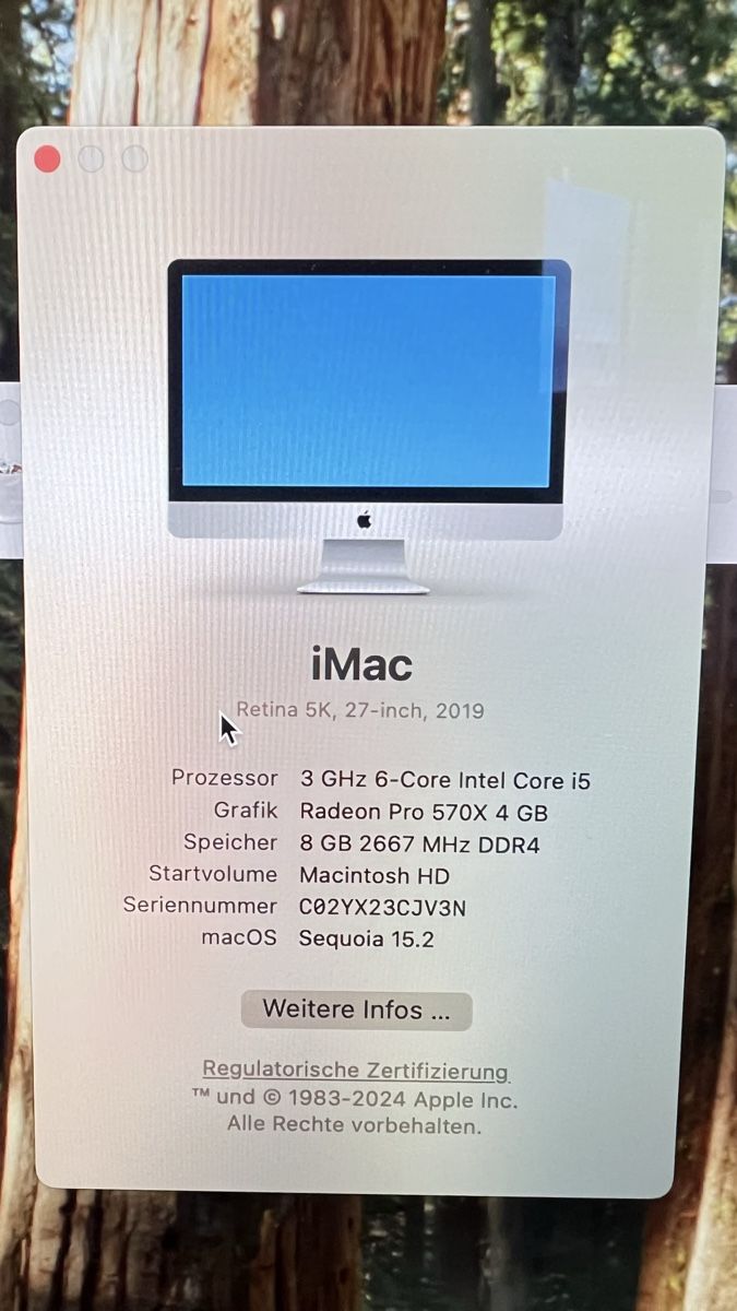 Apple PC: iMac Retina 5K 27-Zoll, 2019 – Usato da Kirchberg BE venduto da Stolzer_Papa_1985 3
