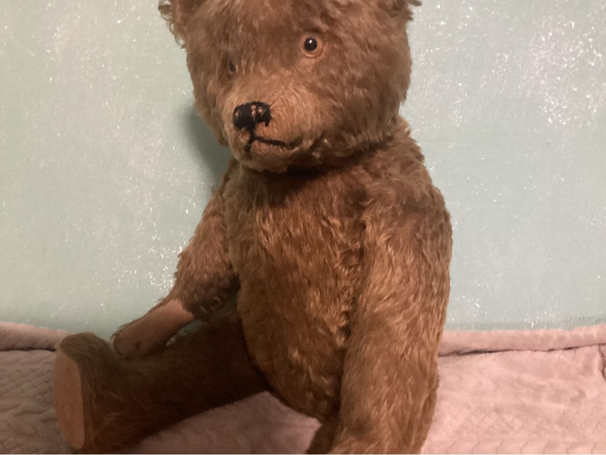 Steiff Giocattoli: ANTIKER TEDDY STEIFF? – Usato da Münchenstein venduto da NoSu98 3