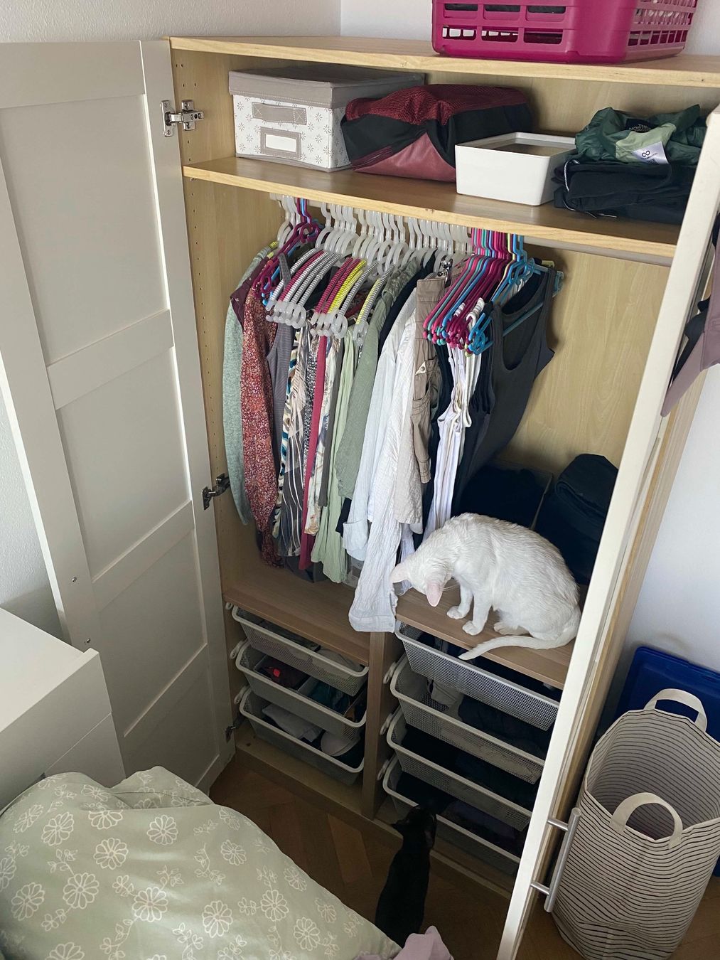 Armadi: Armoire IKEA Pax 100 x 201 cm – Usato da Lausanne venduto da zwa_bmv6 1