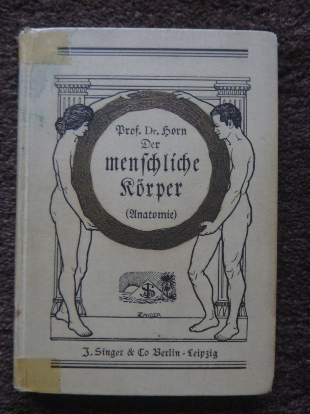 Libri: Der menschliche Körper - Prof. Dr. Horn – Usato da Diessenhofen venduto da farbschatten