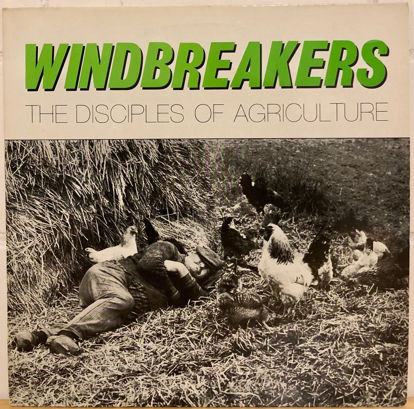 Schallplatten: Windbreakers - The Disciples Of... // LP: VG++; Sleeve: VG+ – Gebraucht aus Zürich von saltbee