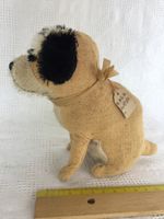 Uralter schöner Hund