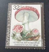 Bulgarien 1990 Pilz briefmarke