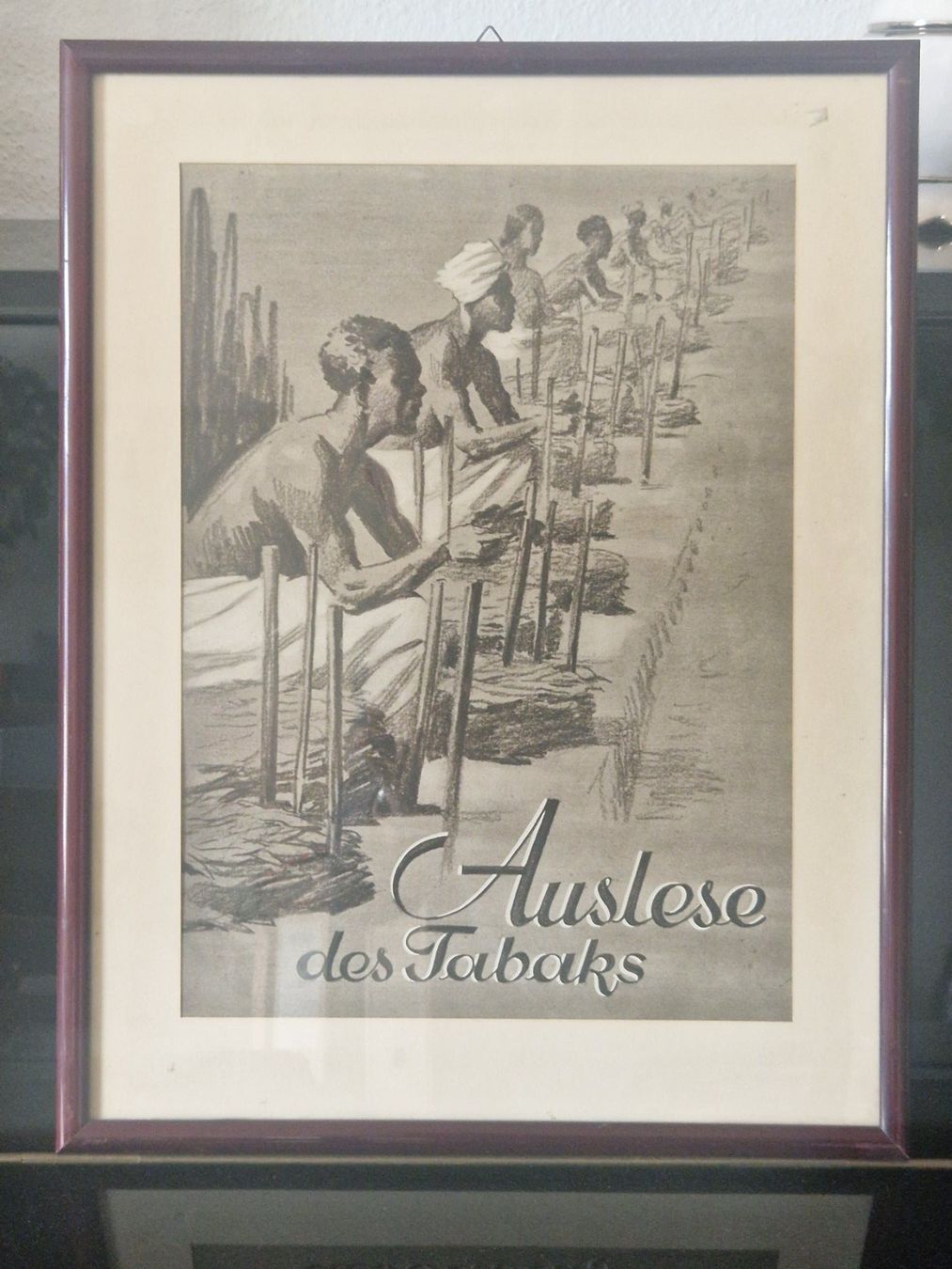 Poster & Bilder: Druckgrafik "Tabak auf Java" – Gebraucht aus Winterthur von Hest1 2