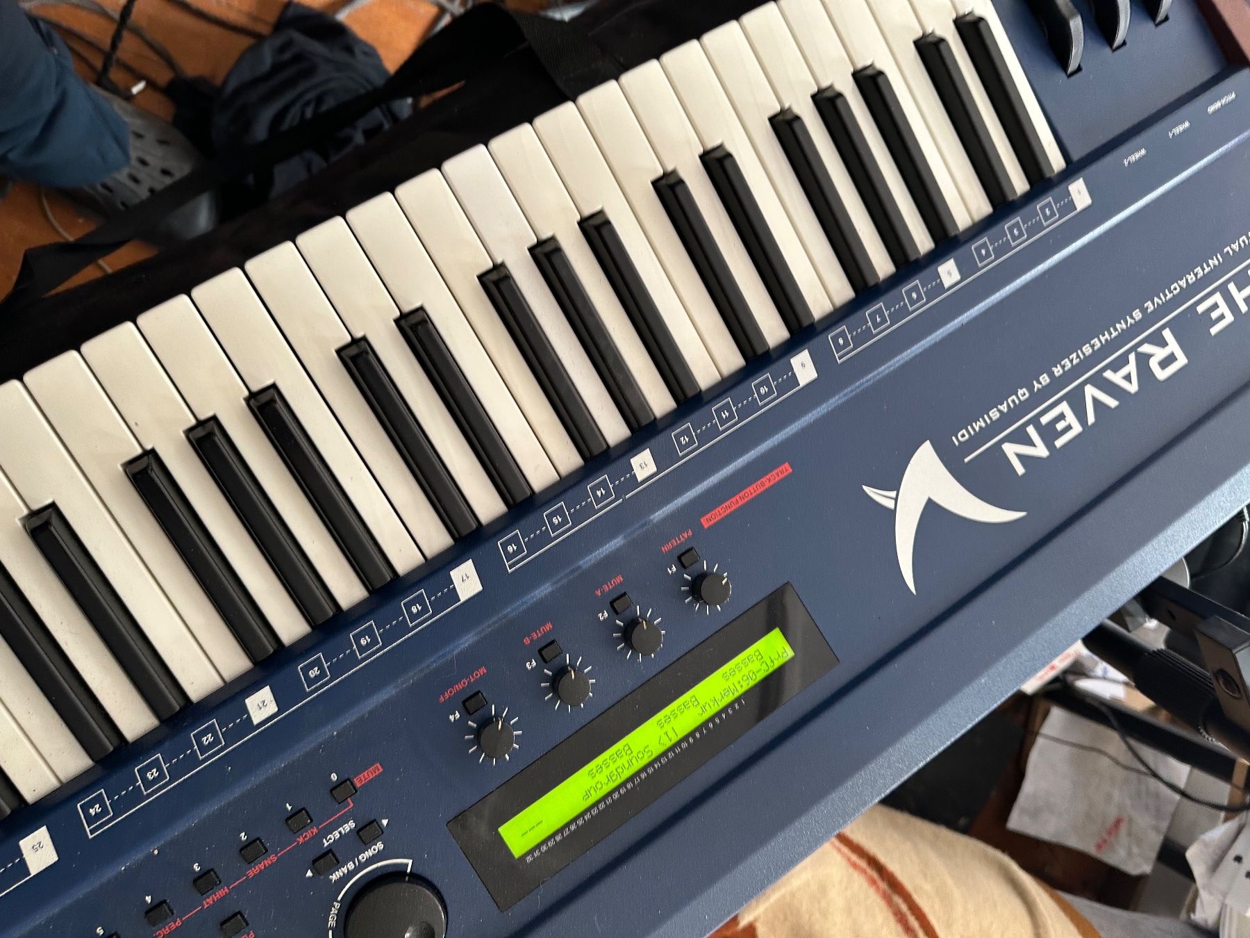 Strumenti musicali: Quasimidi The Raven – Usato da Hallau venduto da Shoteg 4