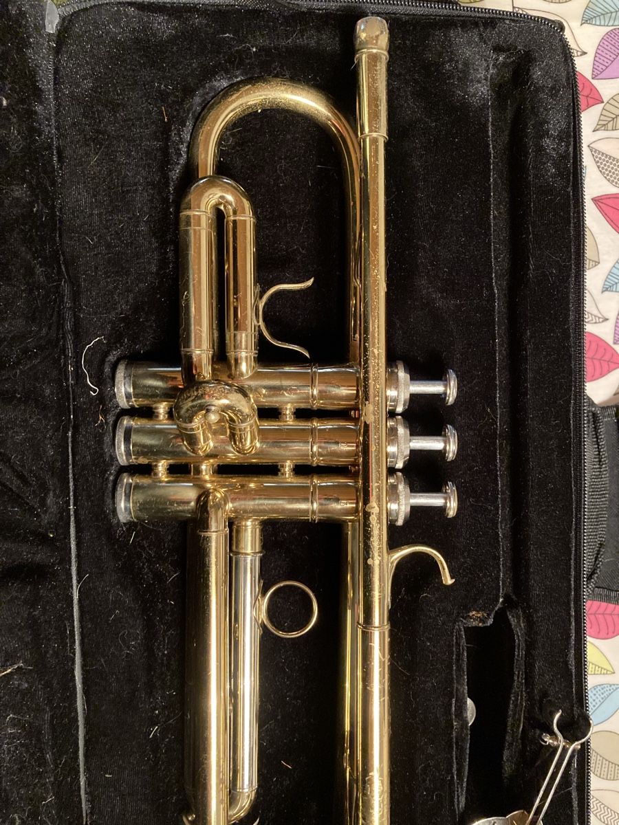 Instruments de musique: Tromba fred williams usata – D'occasion à Bodio par ste_wg29 2