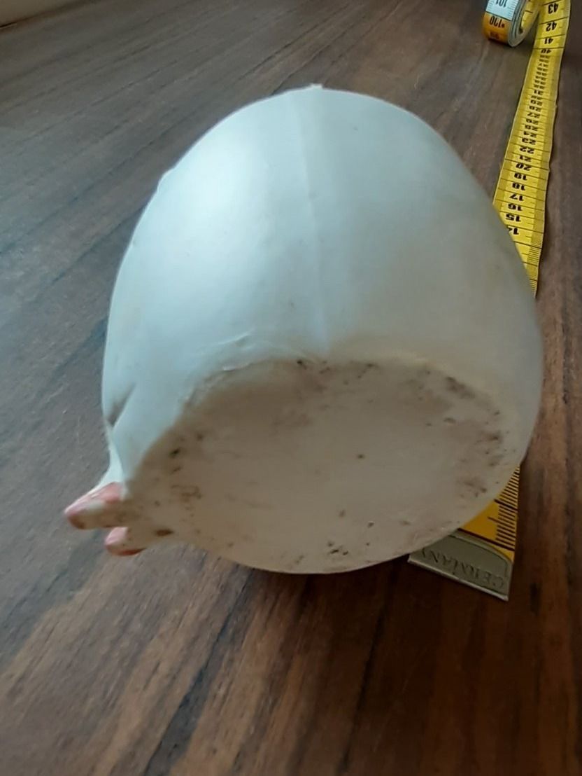 Sonstiges Geschirr: Eierbecher Porzellanfigur antik – Gebraucht aus Mörschwil von wunderkiste44 9