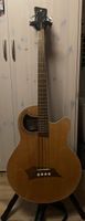 Warwick Alien Standard Acoustic Bass