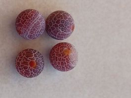 4 Stk. Verwitterte Rosa Rote Achat Steine(gecrasht)