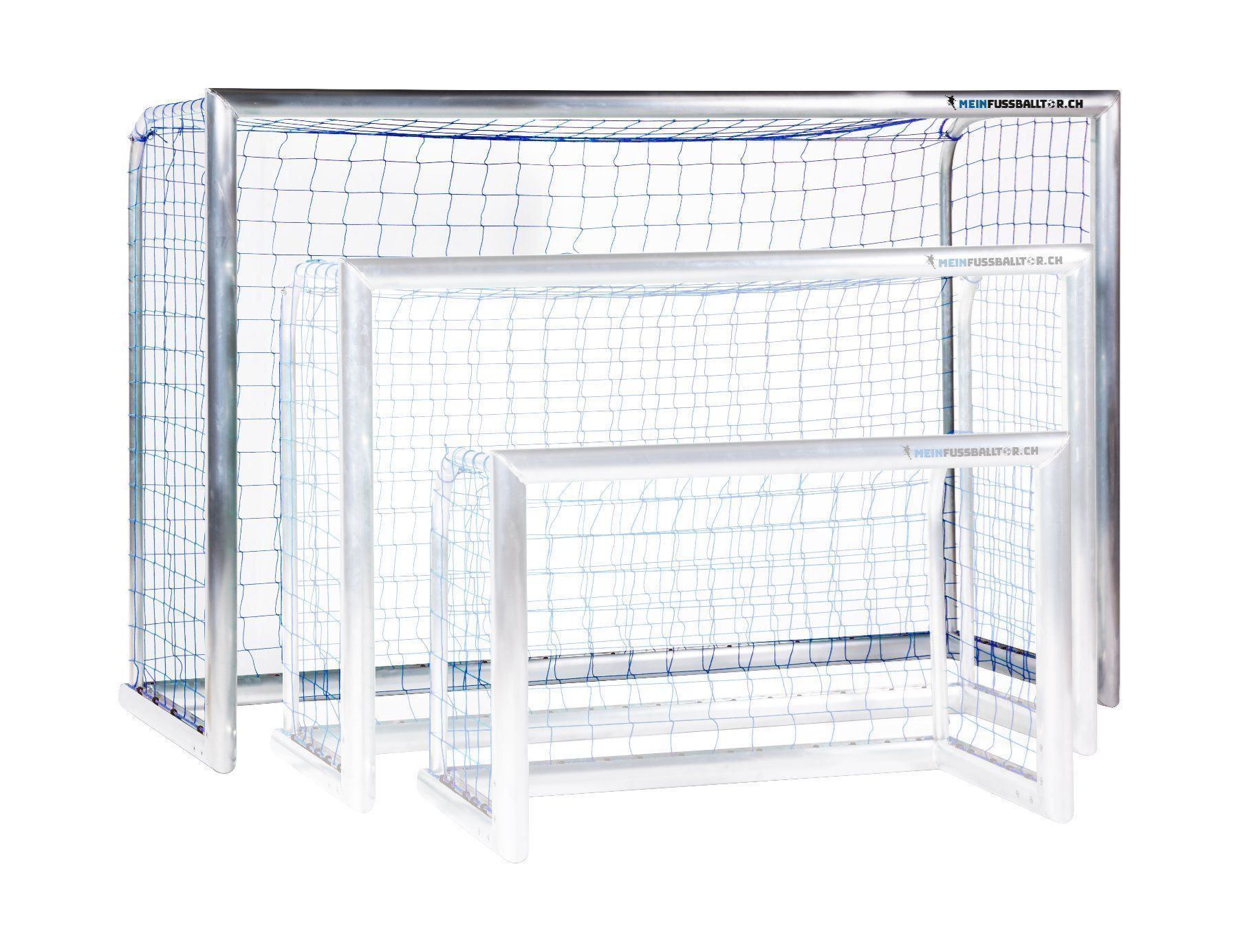 Porte da calcio e da hockey: Fussballtor Profi - Ovalprofil - Garten – Nuovo e nell'imballaggio originale da Sursee venduto da meinfussballtor 1