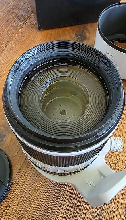 Objektive: Canon RF 70-200 F2.8 – Gebraucht aus Effretikon von lilli5005 2