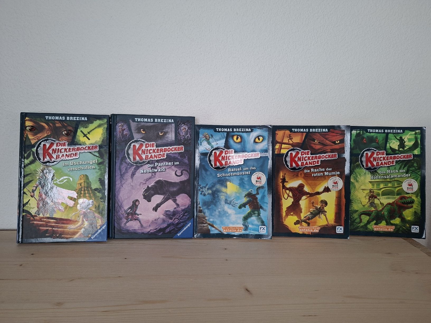 Libri: 5 Bücher "Die Knickerbockerbande" – Usato da Schwarzhäusern venduto da Belinda135