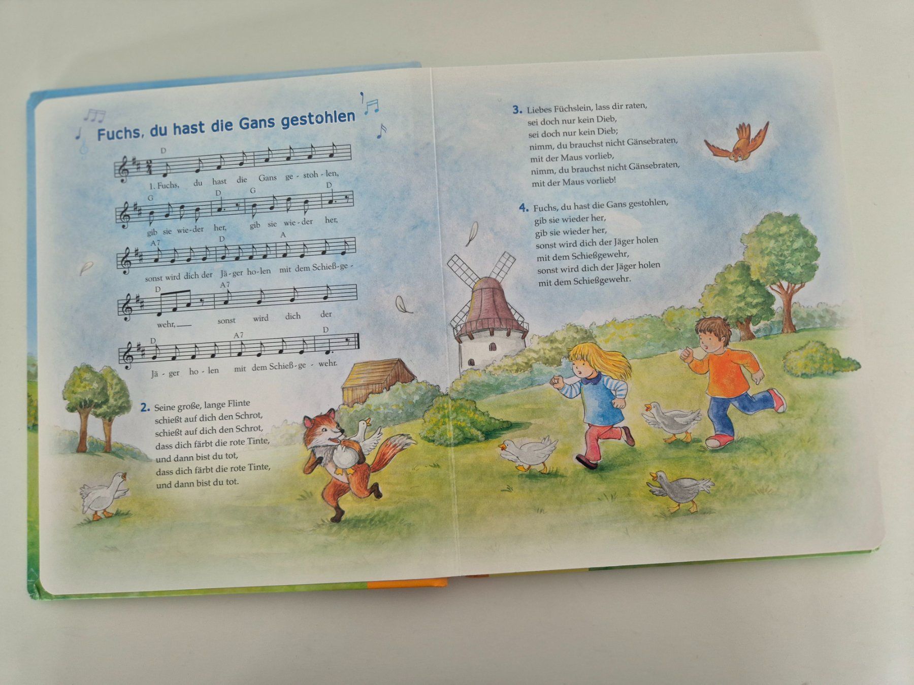 Libri: Buch Meine ersten Kinderlieder – Usato da Aarburg venduto da i_c6r8 1
