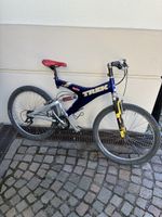 Vintage Mountainbike Trek