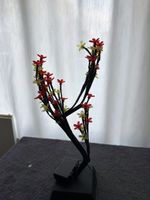 Bonsai Kirschblüten bunt