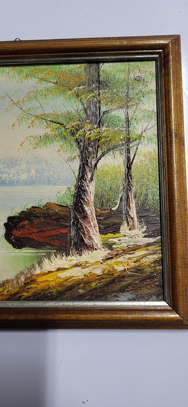 Dipinti: Schönes gemälde Landschaft/Fluss/See – Usato da Figino venduto da mayam63 2