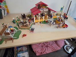 Playmobil Bauernhof
