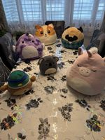 . Squishmallows – 6 Stück, verschiedene Tiere, kuschelweich