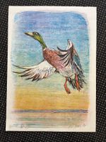 Lithografie / Ente von Fritz Hug 1977 / EA     (ID B5666)