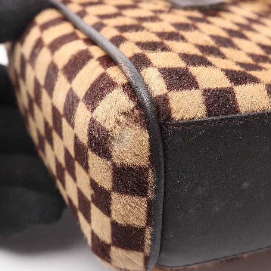 Louis Vuitton Borse da donna: LV Lion Damier Sauvage Handbag – Usato da Chamoson venduto da Sapoloshop 4