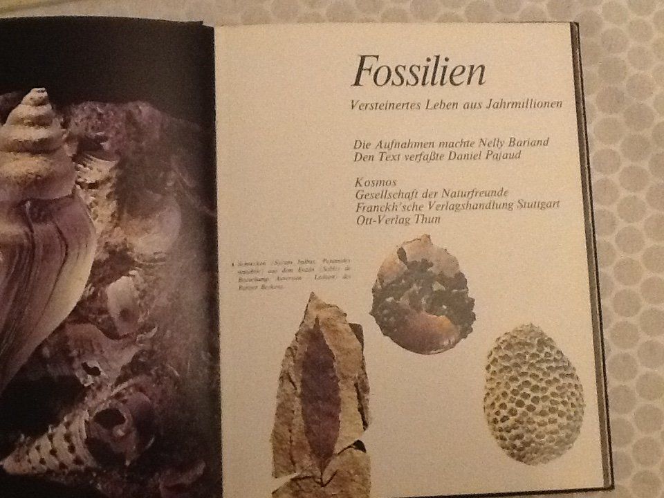 Libri: Fossilien Nelly Bariand, Daniel Pajaud(Kosmos) – Usato da Olten venduto da smiples 1