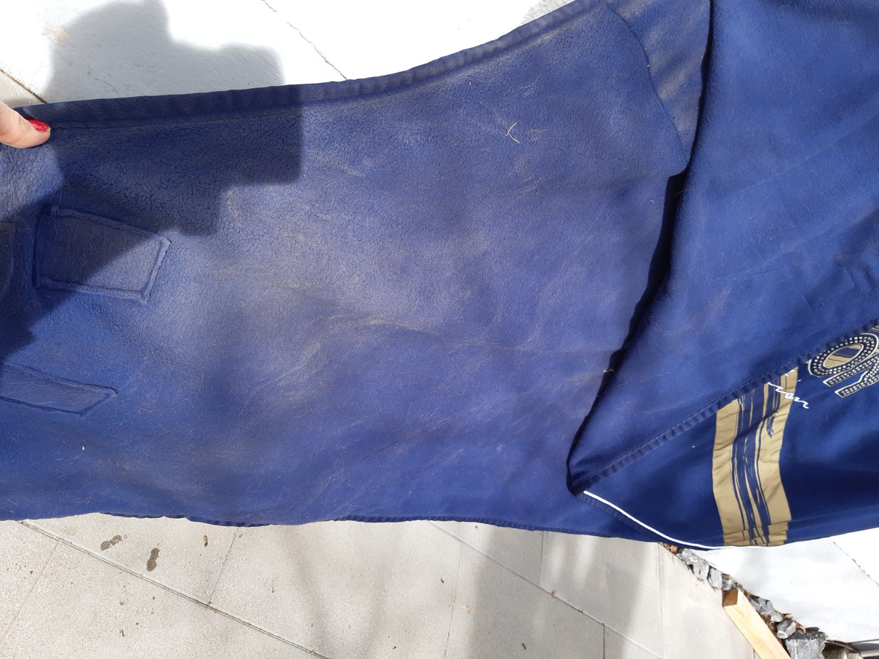 Coperte: Eskadron Decke – Nuovo (secondo la descrizione) da Nebikon venduto da Haidihooo 2