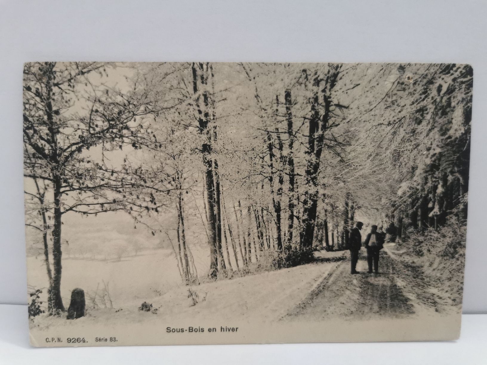Cartoline postali: Carte postale ancienne Leysin sous-bois hiver 1906 – Usato da Bulle venduto da pmcavalheiro