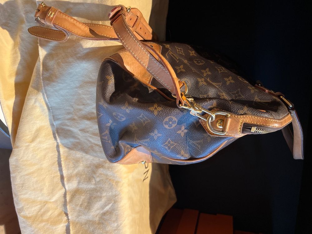 Elettrocasa Staubsaugerbeutel – Packung Mit 5 Beuteln, Kompatibel Mit Vielen Miele, Hoover & Anderen Modellen (TNT-Material)
