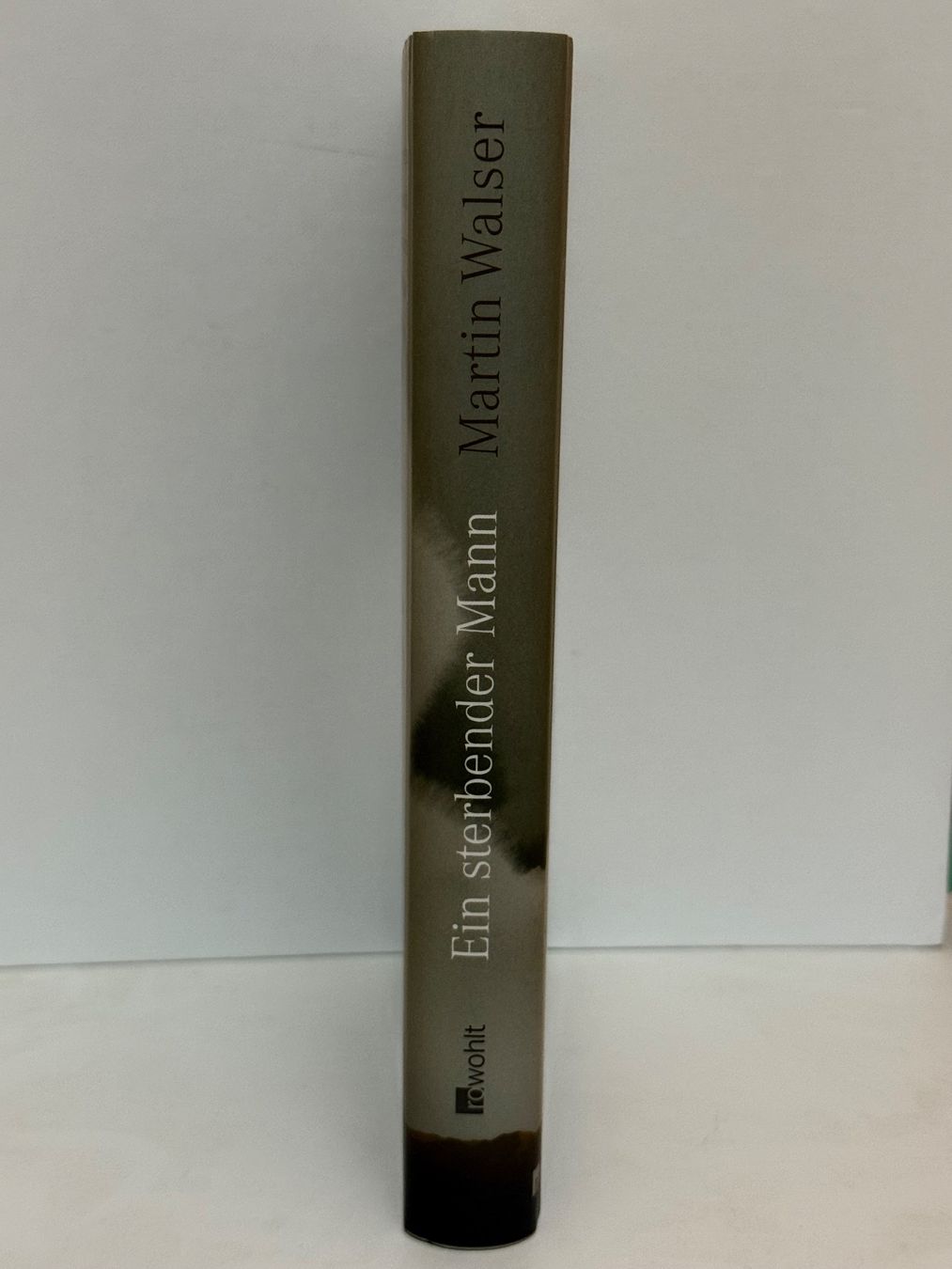 Bücher: Martin Walser - Ein sterbender Mann, Top Zustand! – Neu (gemäss Beschreibung) aus Oberwil BL von dur_c9mp 1