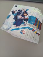Komplettes Base Set Playoff Serie 25/26- 90 Karten