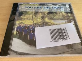 Gospel- und Folkchor Dübendorf - You are the Light