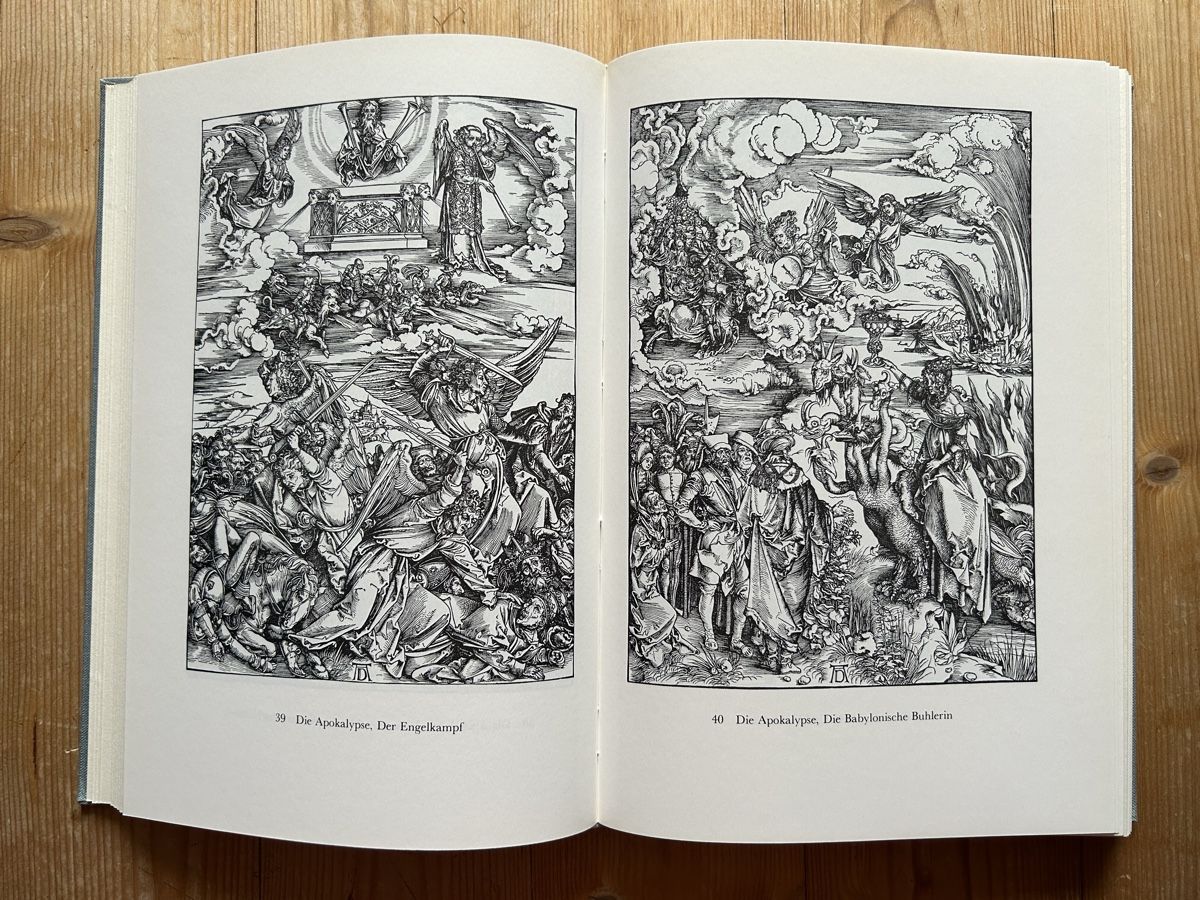 Libri: Theodor Hetzer - Die Bildkunst Dürers – Usato da Himmelried venduto da rasmus67 5