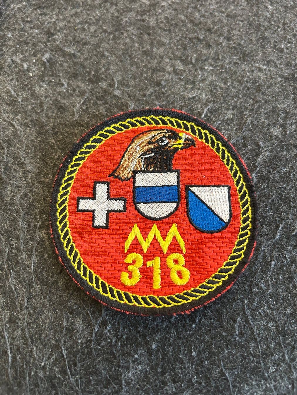 Armée suisse Plaquettes & Badges: Badge A95 - Mob Pl 318 – D'occasion à Berikon par DGC-1995