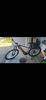 E Bike 100nm 25km/h