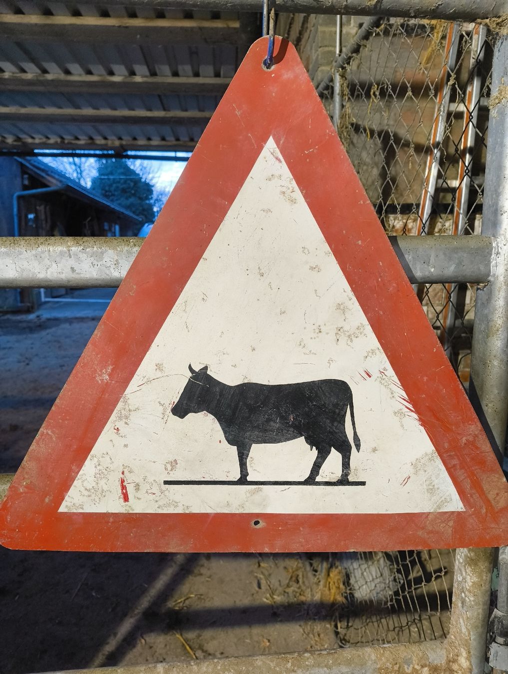 Insegne: Tierschild Vorsicht – Usato da Kirchenthurnen venduto da ueli1307 1