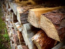 Brennholz Nadelholz Region Brugg, Preis pro Ster