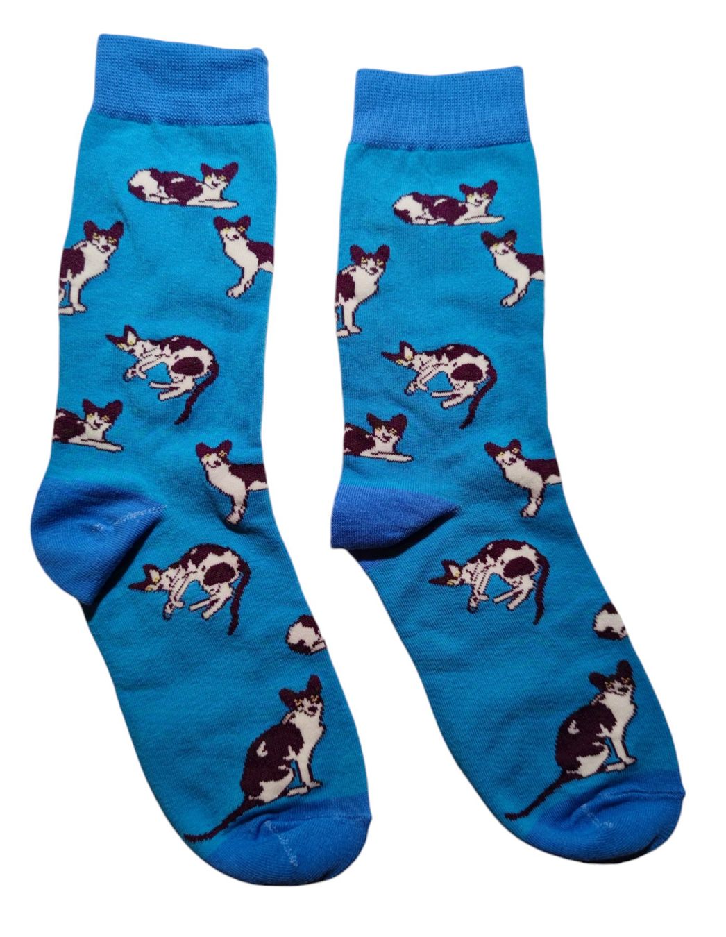 Calze: Socken Katzen / Cats – Nuovo e nell'imballaggio originale da Zürich venduto da amysmith