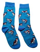 Socken Katzen / Cats