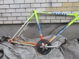 Villiger 🤩Fahrradrahmen