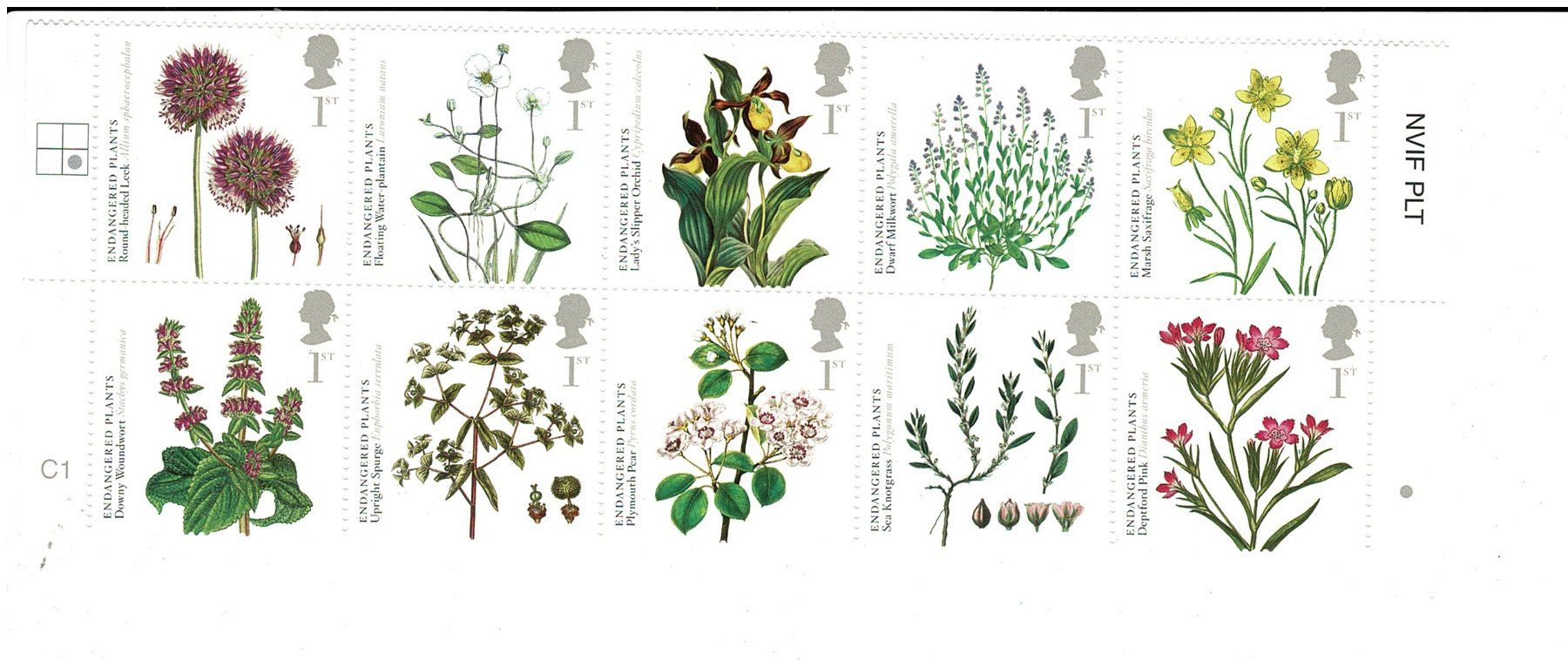 Alle Briefmarken: UK Wildblüten 1 Streifen ** – Neu (gemäss Beschreibung) aus Lausanne von Whorvath
