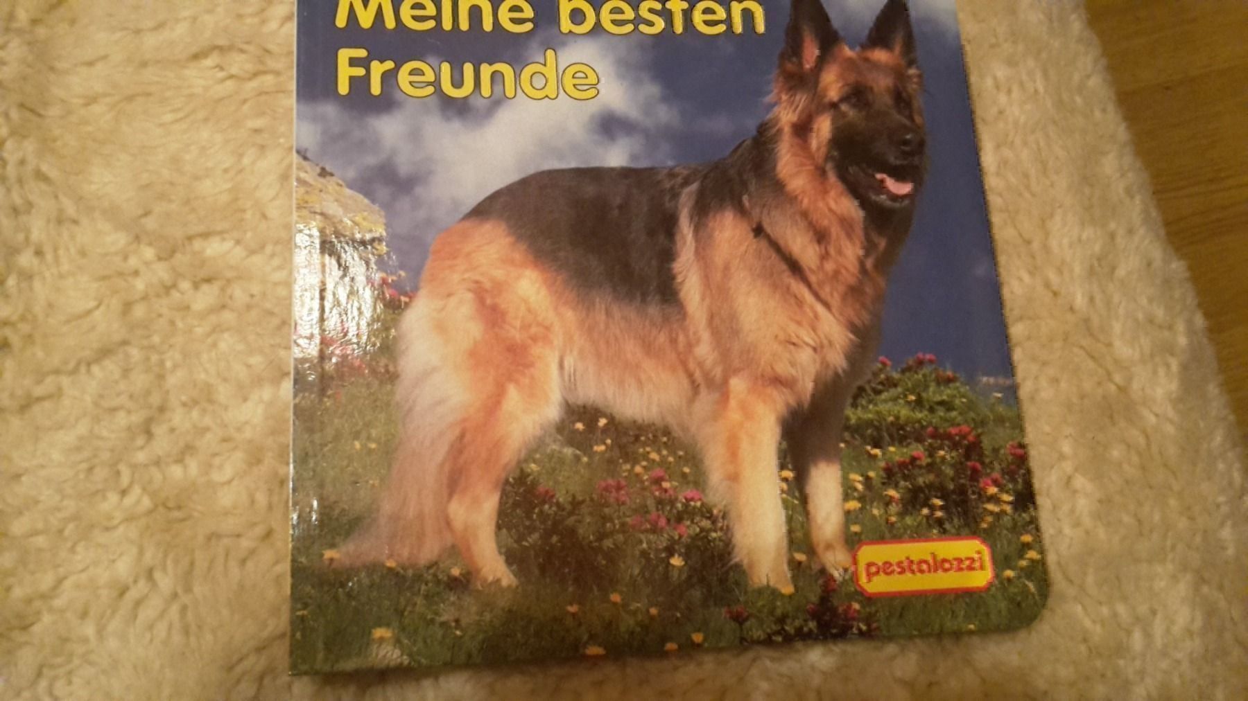 Libri: Buch meine besten Freunde – Nuovo (secondo la descrizione) da Schwarzenburg venduto da Flamingo07