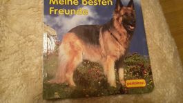 Buch meine besten Freunde