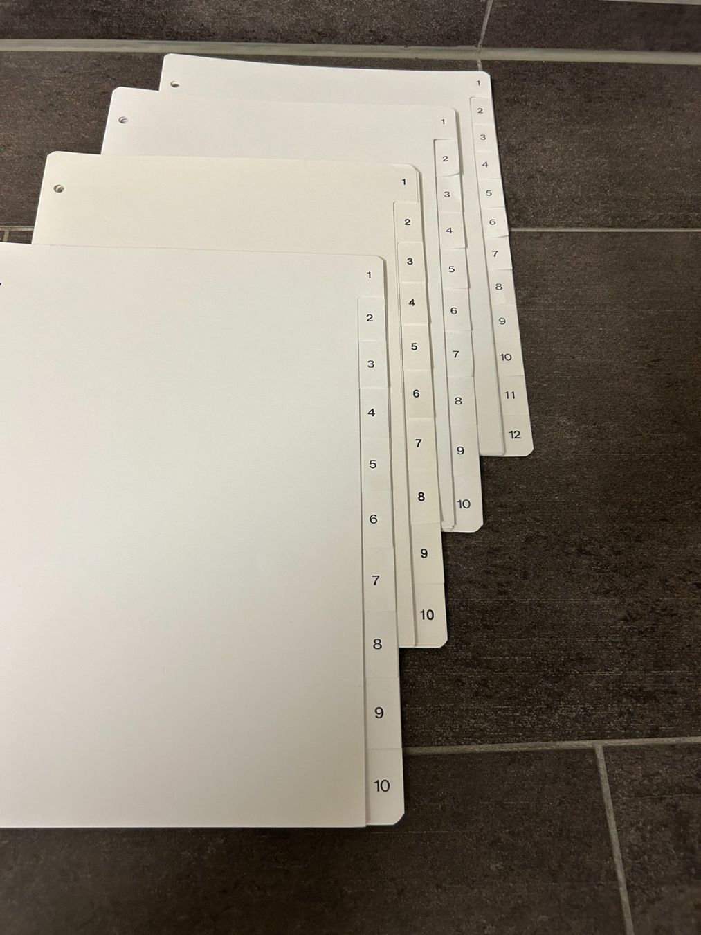 Raccoglitori: Zahlenregister A4 aus Karton / 8 Stück – Usato da Hagendorn venduto da Teora66 2