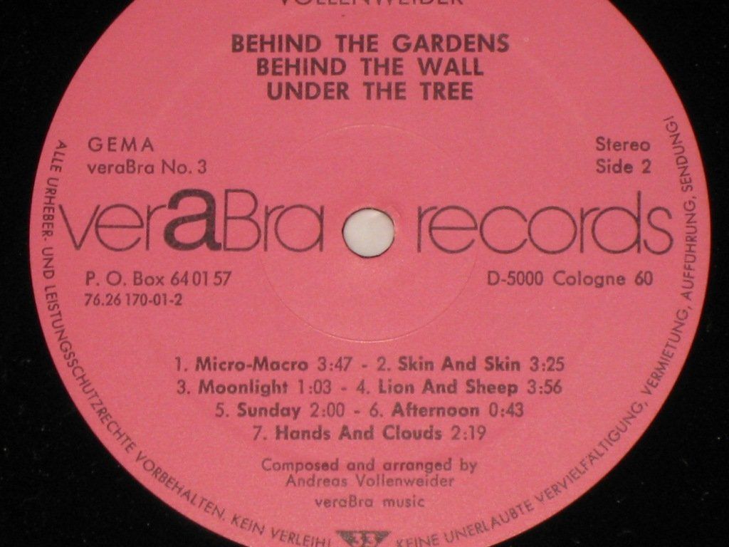 Dischi in vinile: LP - ANDREAS VOLLENWEIDER - BEHIND THE GARDENS – Usato da Steckborn venduto da Quo7 2