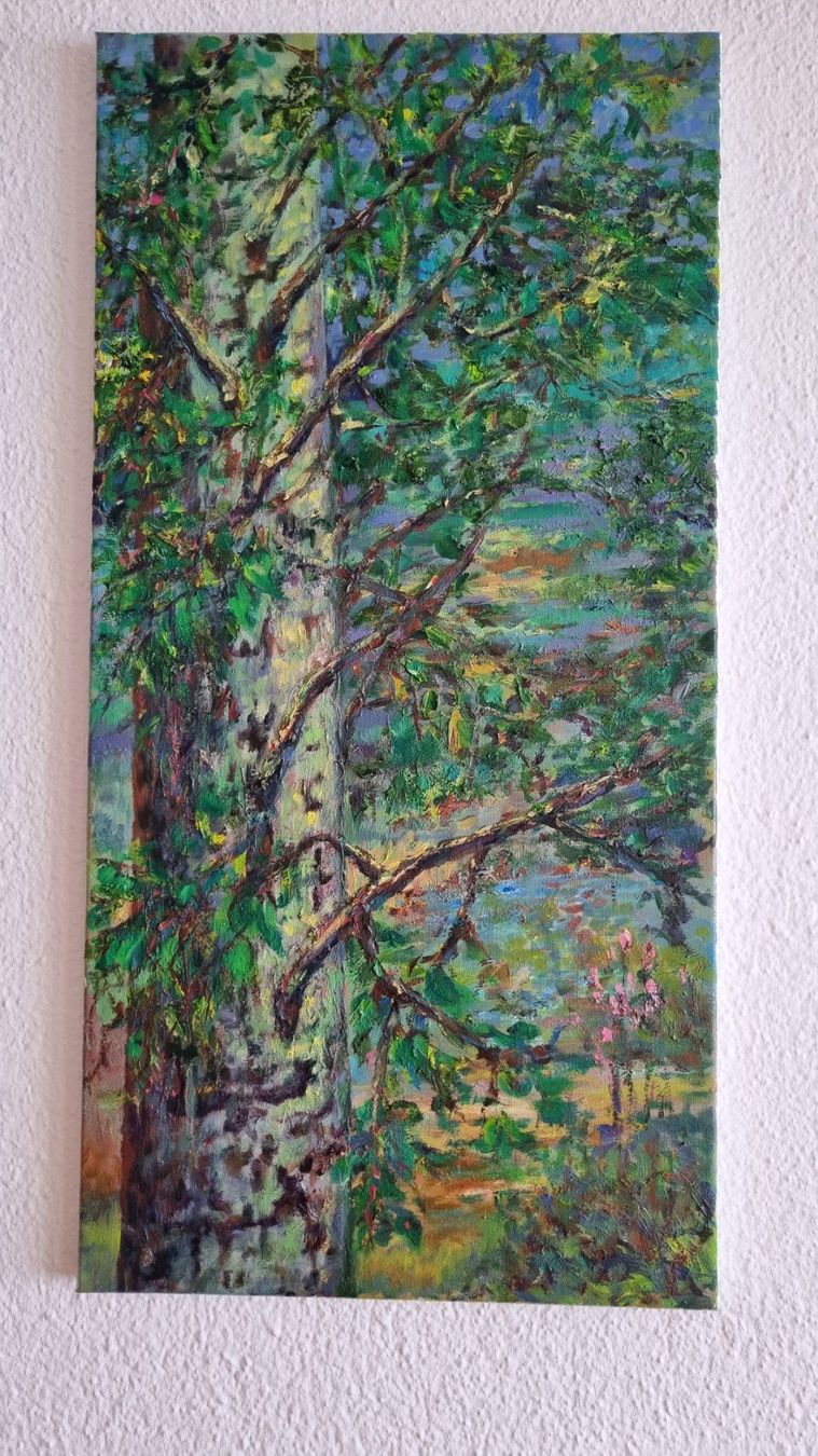 Dipinti: Original: Birke, Öl auf Leinwand, 40x50cm – Nuovo (secondo la descrizione) da Belp venduto da MaSu39 1